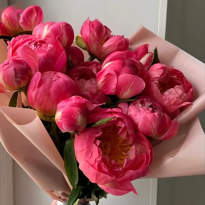 Пионы коралловые 9 шт